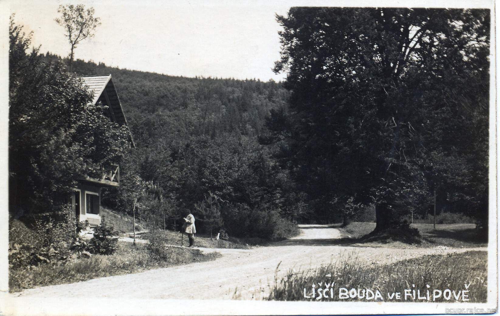 12._Lisci_bouda
